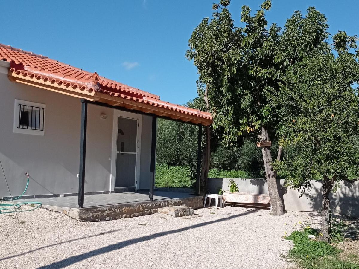 Avocado House Hébergement de vacances Foinikounda