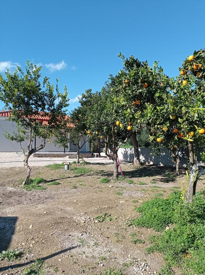 Avocado House Foinikounda
