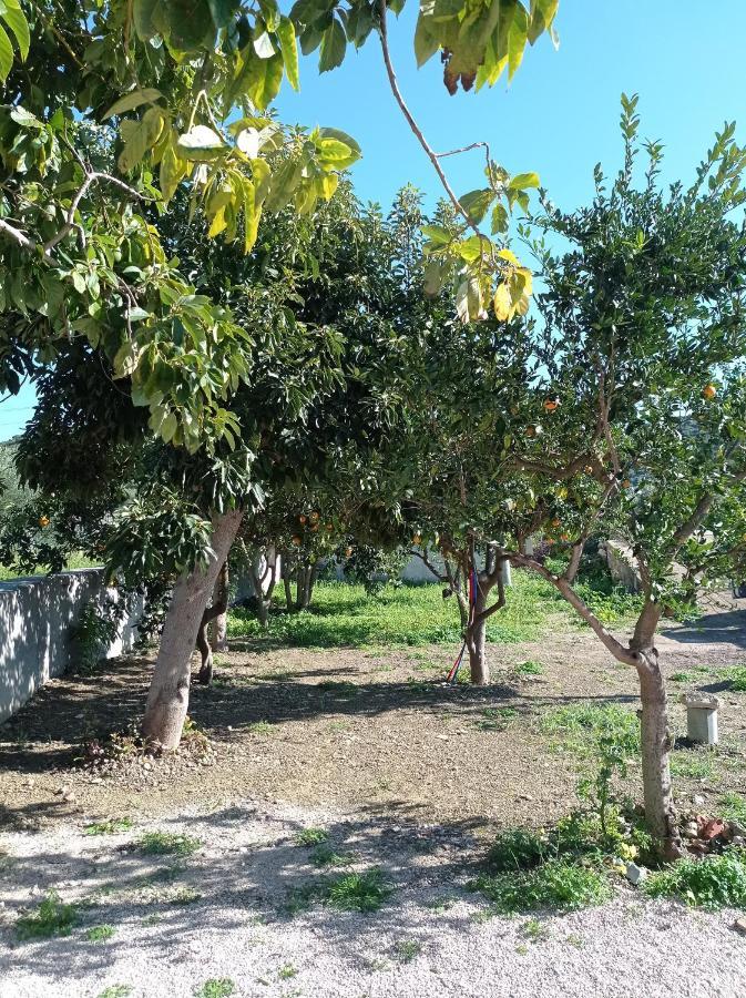 Avocado House * Foinikounda