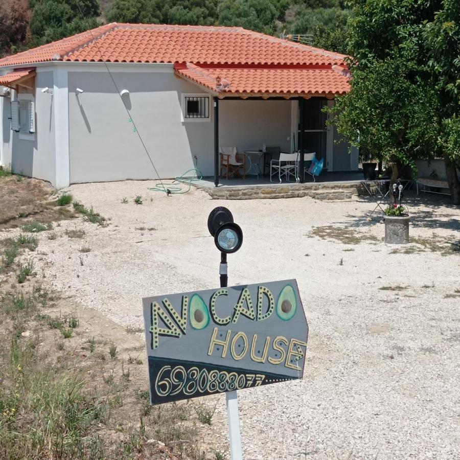 Avocado House Ferienhaus *