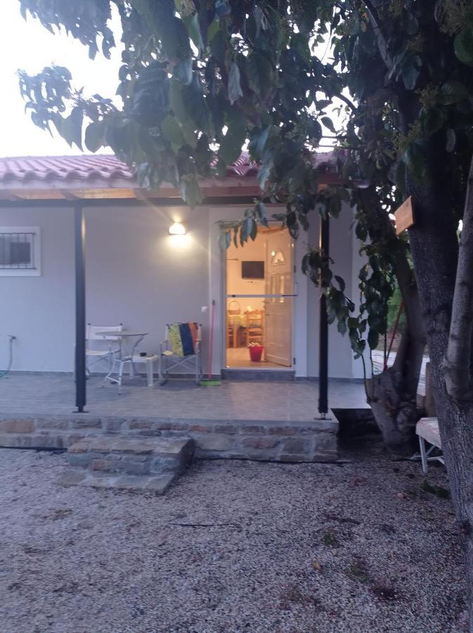 Avocado House Hébergement de vacances Foinikounda