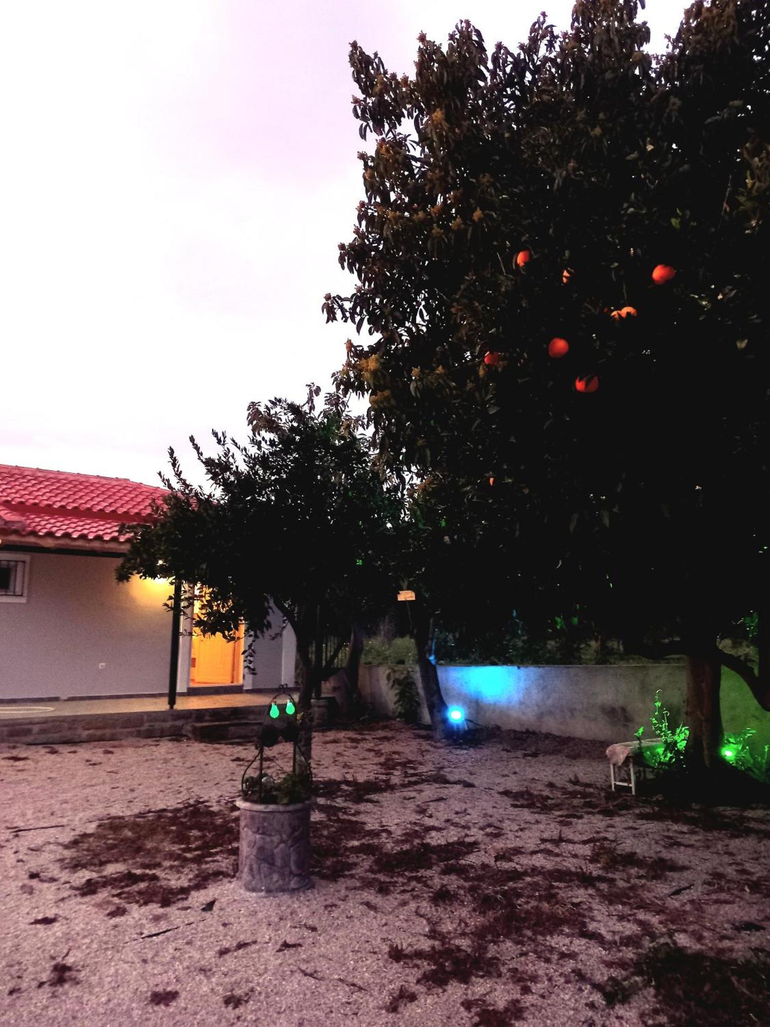 Avocado House Ferienhaus *