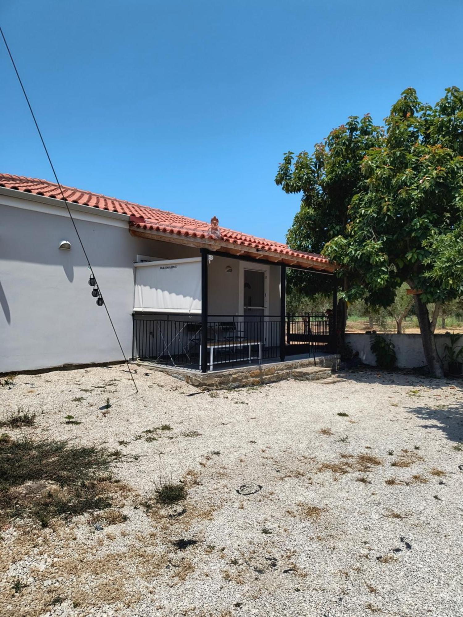 Avocado House